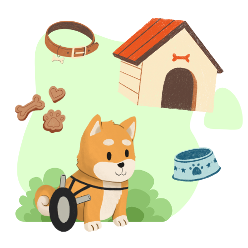 ดูแลสุนัขพิการและชราภาพ มูลนิธิเดอะวอยซ์