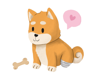 ดูแลสุนัขพิการและชราภาพ มูลนิธิเดอะวอยซ์