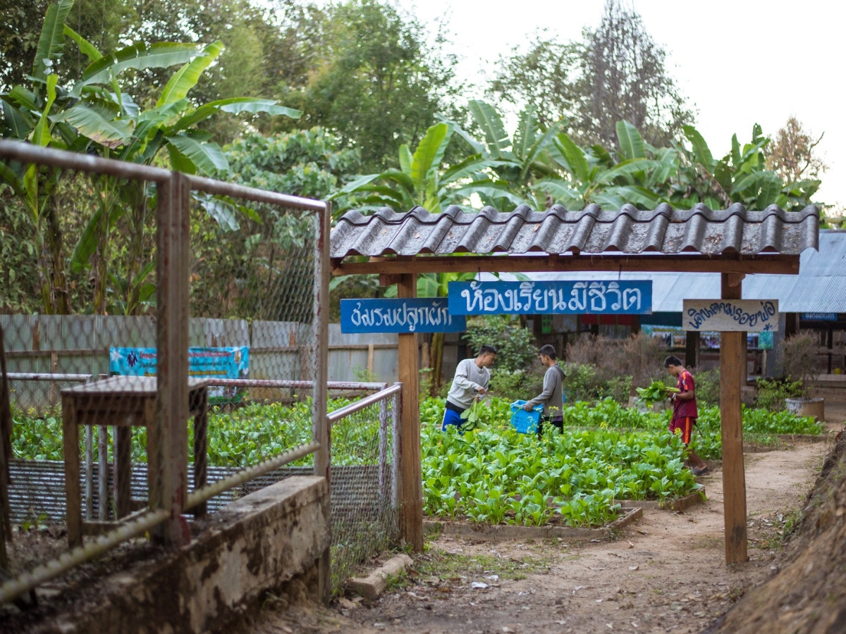 เปลี่ยนอาหารในถาดหลุมโรงเรียน ให้ทุกวันเป็นมื้อพิเศษ